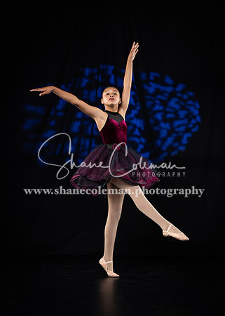 _54A7281-Edit